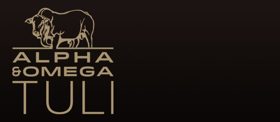 Alpha and Omega Tuli Gallery
